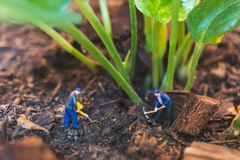 Worker team working with tree , protect nature concept Stock Photos