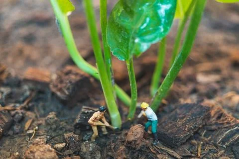 Worker team working with tree , protect nature concept Stock Photos