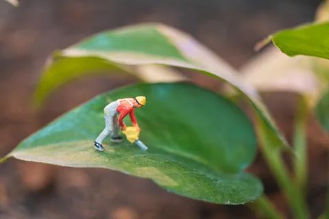 Worker team working with tree , protect nature concept Stock Photos