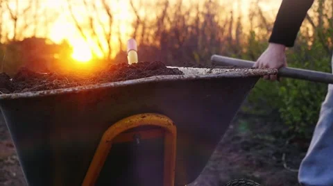Worker throwing ground in a handcart during sunset in slowmotion with lens flare Stock Footage 66554157