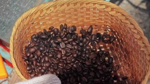 Worker took freshly roasted coffee to check the quality Stock Footage 304647328