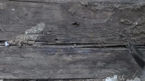 Worker with tool pulling nails from wooden wall Stock Footage 21272155