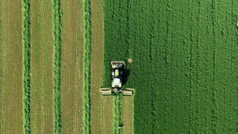 Worker On Tractor Mowing Fresh Green Grass For Hay Or Feed Aerial Top View Stock Footage 126038089