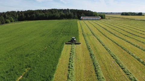 Worker In Tractor Mowing Green Grass For Hay Or Livestock Feed Aerial View Stock Footage 124682016