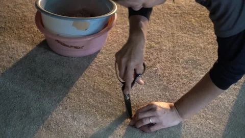 Worker Trimming Finished Carpet With Scissors Stock Footage 339225042
