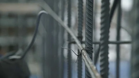 Worker twists the reinforcement with wire Stock Footage 82136621