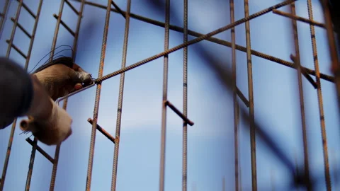 Worker tying steel reinforcement with binding wire Stock Footage 327290084