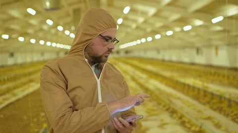 The worker in uniform examines process on poultry farm using smartphone Stock Footage 112500773