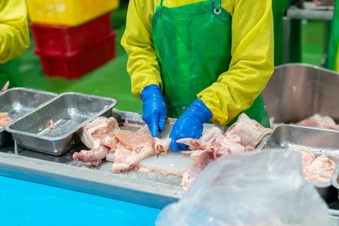 Worker use knife slice chicken drum stick. Foto stock