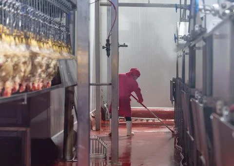 Worker use mob cleaning floor. Stock-Fotos