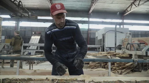 Worker Uses Chainsaw On Tree Log For Lumber Plank Wood Material Production Stock Footage 208415736