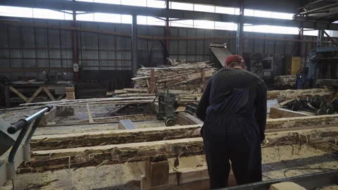 Worker Uses Technical Equipment To Saw Wooden Log For Lumber Boards Production Stock Footage 265092597