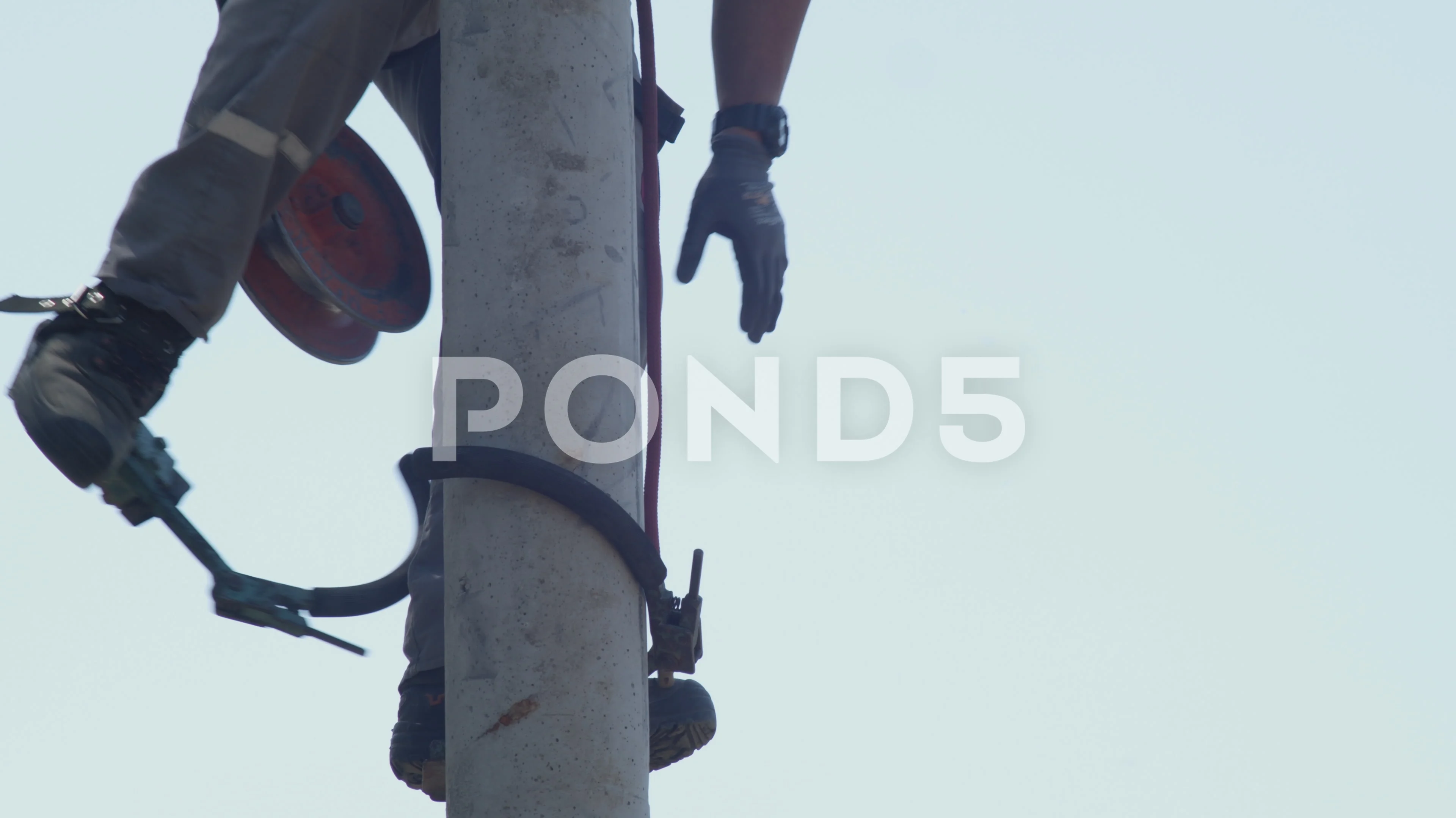 Plemont - Pole Climbers and Tree Climbing Gear