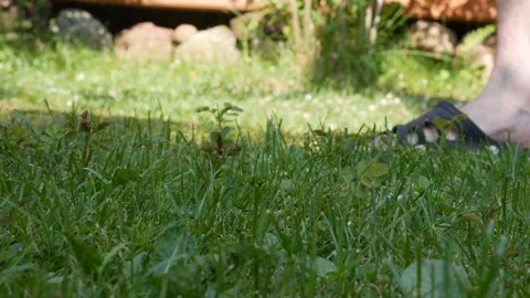 Worker using electric lawn mower for cutting grass. Garden works and equipment. Stock Footage 161148211