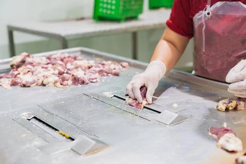 A worker is using the Gizzard harvester machine. Stock-Fotos