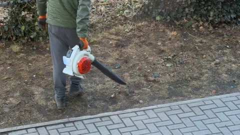 A worker using a handheld power leaf blower to clear yard debris along a paved Stock Footage 346483343