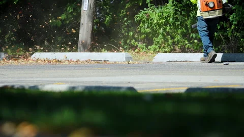 Worker using a leaf blower to clear fallen leaves and debris along the edge of a Stock Footage 319363213
