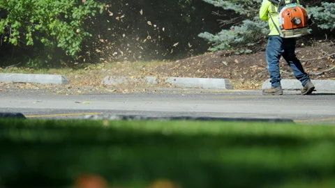 Worker using a leaf blower to clear fallen leaves and debris along the edge of Stock Footage 320145428