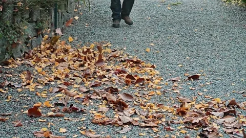 Worker using leaf blower to clear fallen autumn leaves from urban pathway. Stock Footage 324929209
