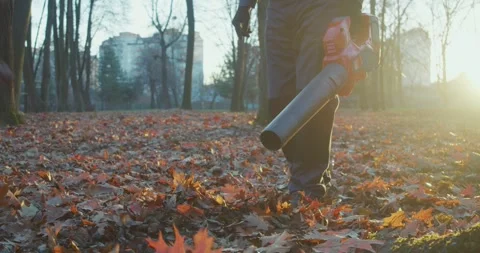 Worker using leaf blower while cleaning autumn city park Stock Footage 254770346