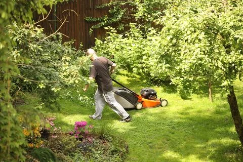 Worker using a manual lawn mower mows grass on near the house. Landscaping .. Stock Photos