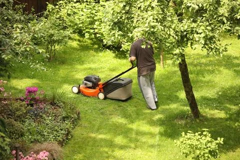 Worker using a manual lawn mower mows grass on near the house. Landscaping .. Stock Photos