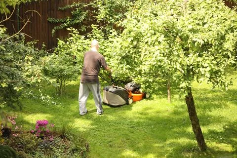 Worker using a manual lawn mower mows grass on near the house. Landscaping .. Stock Photos