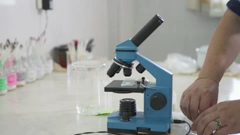 Worker Using a microscope equipment for the analysis of liquid product sample Stock Footage 229919847