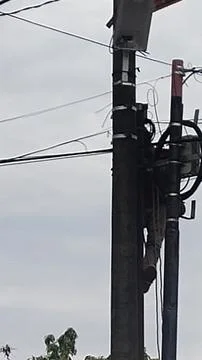 A worker on a utility pole, managing cables and equipment for maintenance. Photos