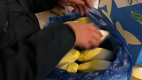 Worker: Vegetables Clean Video stock 103281751