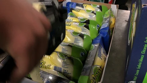 Worker: Vegetables Pack Stock Footage 103089521