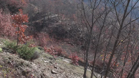 Worker walking down a mountain road Stock Footage 146917563
