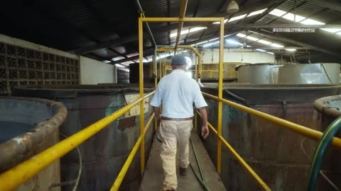 Worker Walking Through Rum Distillery Fermentation Area Stock Footage 341437843