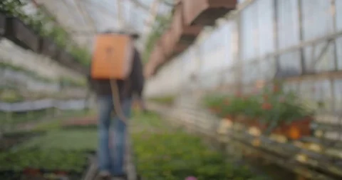 Worker watering flowers in 4K Video stock 71101762