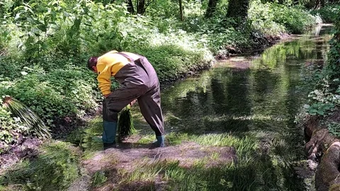 Worker in waterproof waders Stock-Footage 313675094
