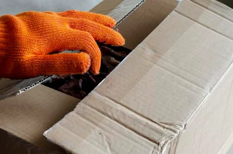 A worker wearing protective gloves opens a cardboard box. Stock Photos