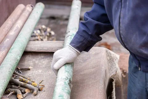 Worker wearing protective white gloves holding a long green metal pipe on a.. Stock Photos