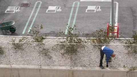 A worker weeds weeds Stock-Footage 239267155