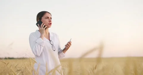 Worker in white coat inspecting crop in wheat field at sunset.Woman holding Stock Footage 157942856