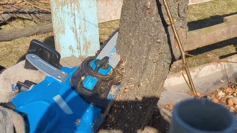 The worker is working in a chainsaw Stock Footage 267689858