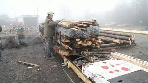 Workers In Action Stock Footage 11630910