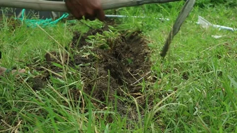 Workers' activities hoeing the land Stock-Footage 330675886