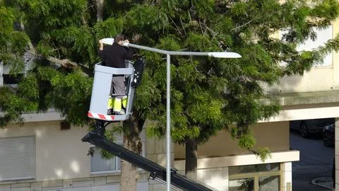 Workers in aerial work platform check street light in residential area on sunny Stock Photos