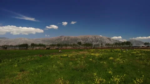Workers on agricultural parcels collection, drying and processing of Stock Footage 154242605