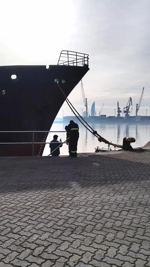 Workers and cargo ship docked at harbor Stock Footage 340821406