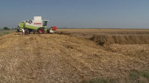 Workers and combine harvester Stock-Footage 56031255