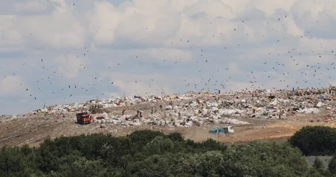Workers and garbage trucks working in massive dump, recycling pollution problem. Stock Footage 113072830