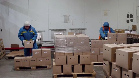 Workers and protective uniform packing finished products. Industry, assembly Stock Footage