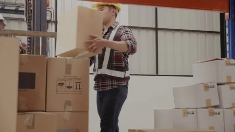 Workers are active Put box on forklift in warehouse for logistics distribution.  Stock Footage 159535570