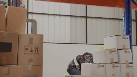 Workers are active Put box on forklift in warehouse for logistics distribution.  Stock Footage 159536072